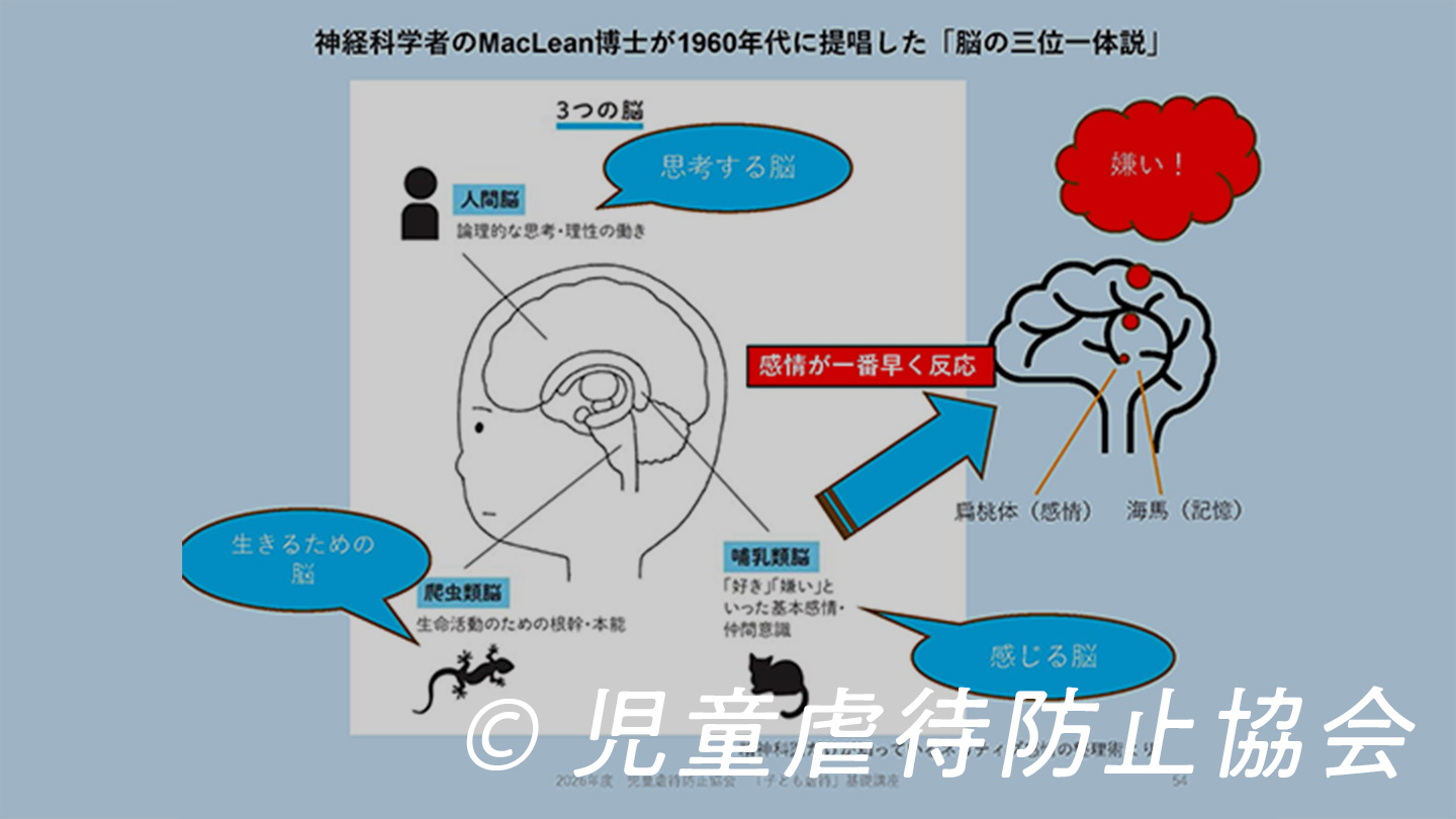 00e3aa89a33367d1ebbeb7321255852b-1786004265.png 00e3aa89a33367d1ebbeb7321255852b-1786004265.png