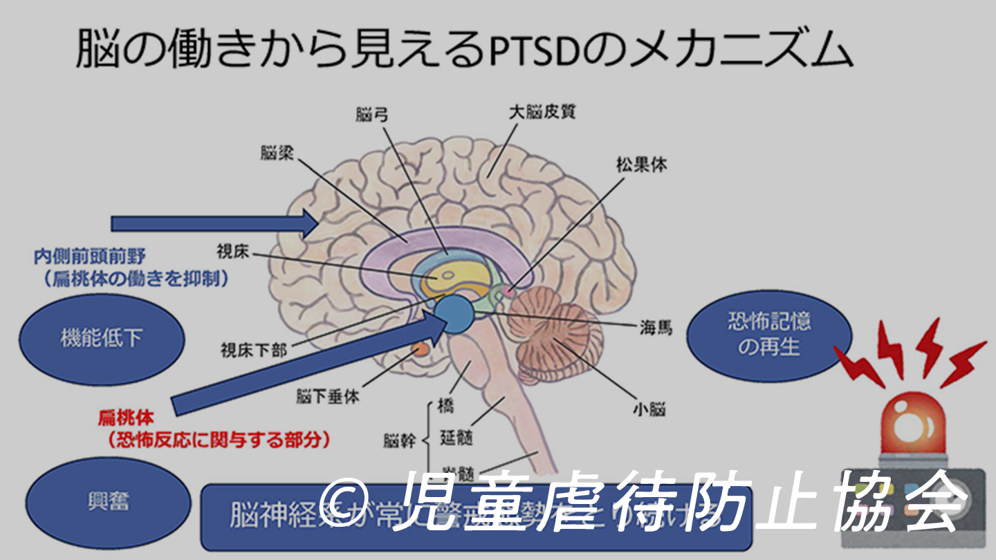 e7cb78423d432662349c5329af6994e7-1785985614.png e7cb78423d432662349c5329af6994e7-1785985614.png