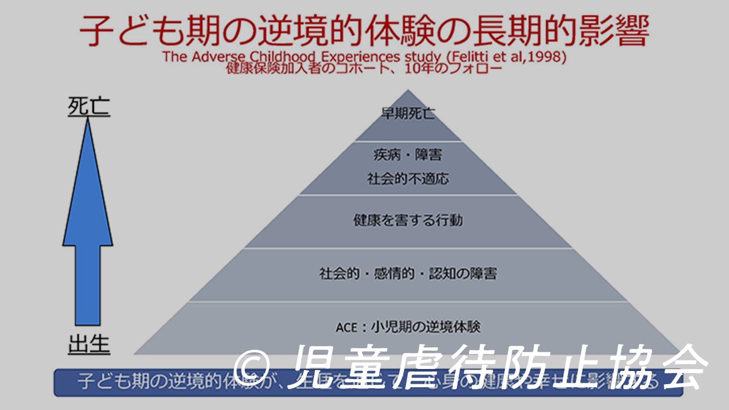 8a0c36187473c138a2fdf797be292ee3-1785985638.png 8a0c36187473c138a2fdf797be292ee3-1785985638.png